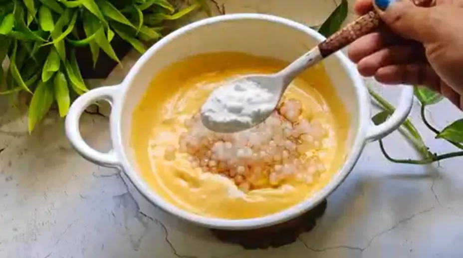 Mango Delight Recipe